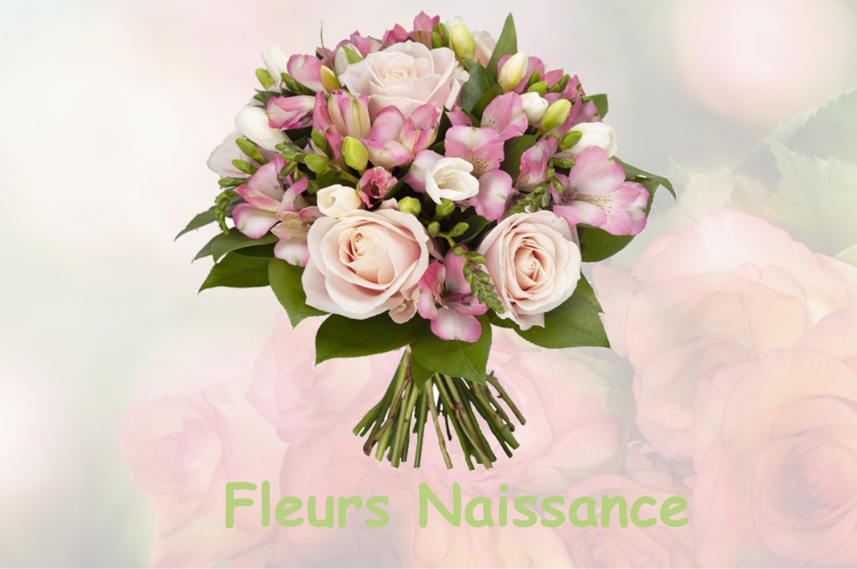 fleurs naissance GOUAUX-DE-LARBOUST