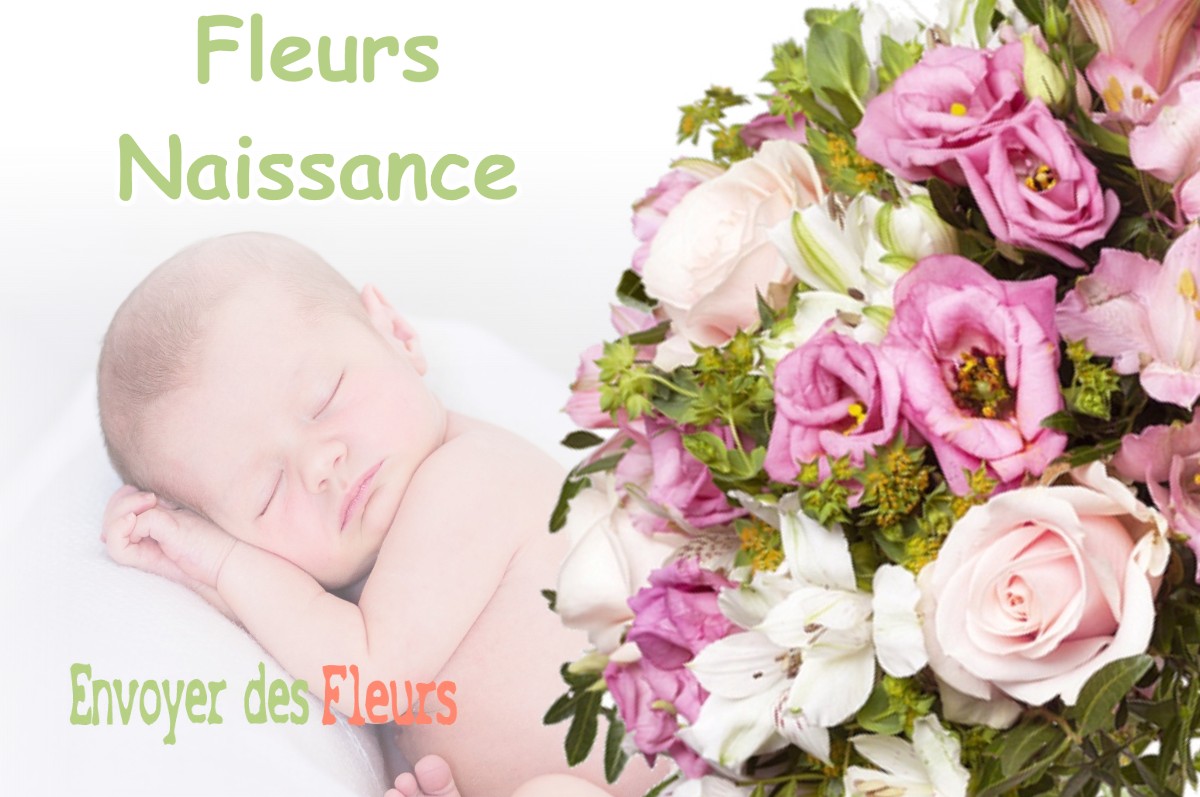 lIVRAISON FLEURS NAISSANCE à GOUAUX-DE-LARBOUST